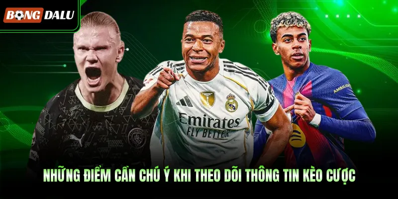 Những điểm cần chú ý khi theo dõi thông tin kèo cược